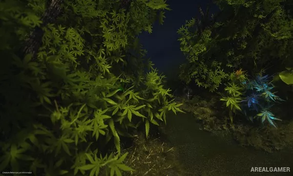 Creatura Screenshot 1, Free Download, PC Game, Full Updated