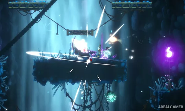 Aeterna Noctis Screenshot 2, Free Download, PC Game, Full Updated