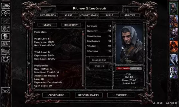 Baldur's Gate: Faces of Good and Evil Screenshot 1, Free Download, PC Game, Full Updated