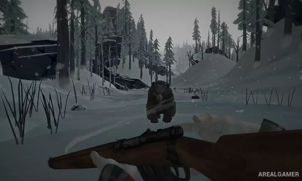 The Long Dark Screenshot 3, Free Download, PC Game, Full Updated