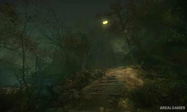 The Cursed Forest Screenshot 1, Free Download, PC Game, Full Updated