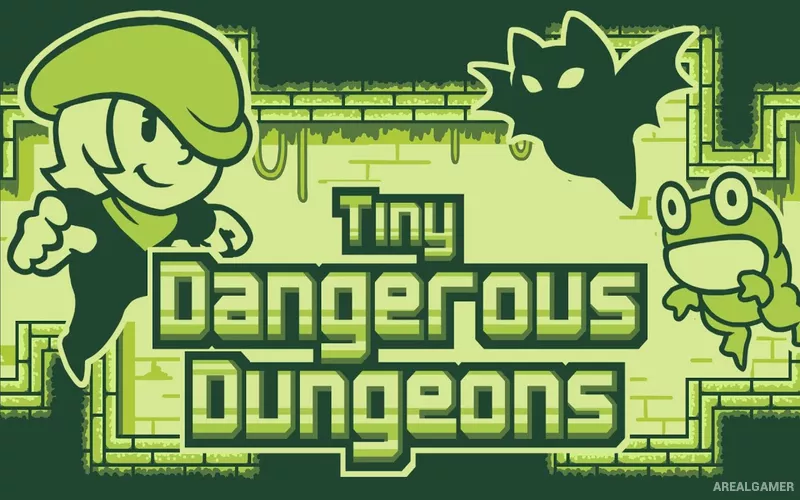Tiny Dangerous Dungeons Cover Art, Free Download, PC Game, Full Updated