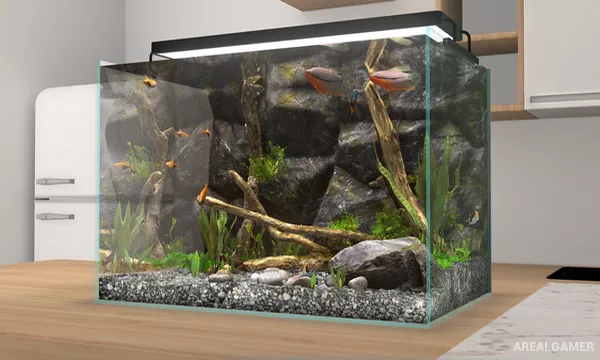 Behind Glass: Aquarium Simulator Screenshot 1, Free Download, PC Game, Full Updated