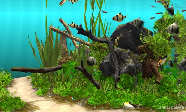 Behind Glass: Aquarium Simulator Screenshot 3, Free Download, PC Game, Full Updated