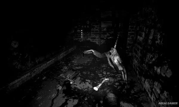 The Pony Factory Screenshot 2, Free Download, PC Game, Full Updated