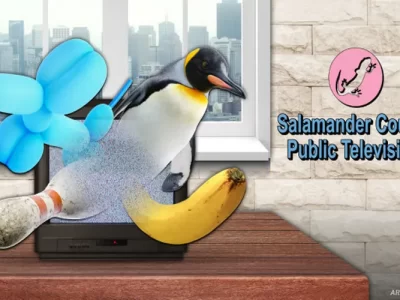 Salamander County Public Television