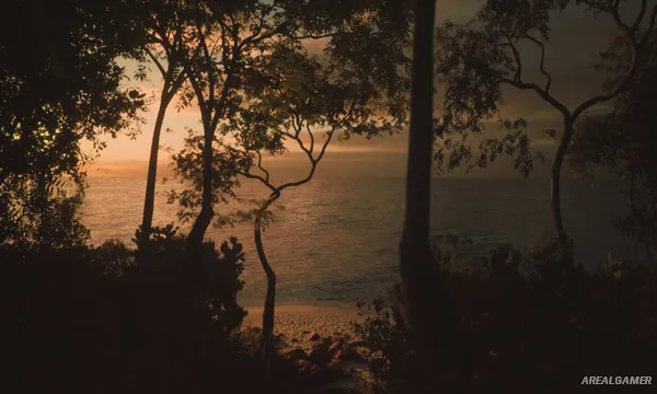 Lushfoil Photography Sim Screenshot 2, Free Download, PC Game, Full Updated