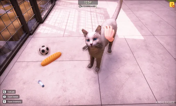 Animal Shelter 2 Screenshot 1, Free Download, PC Game, Full Updated