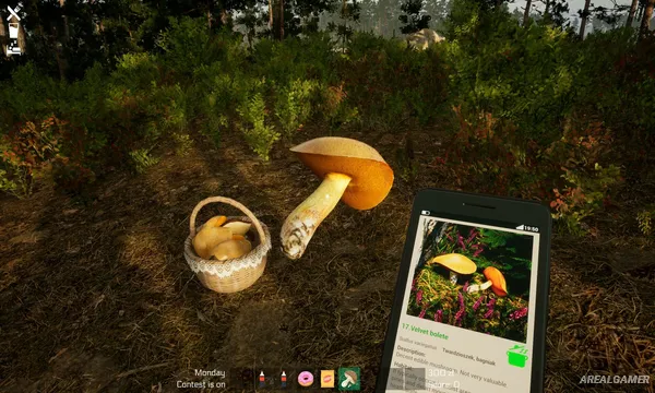 Mushroom Season Screenshot 2, Free Download, PC Game, Full Updated